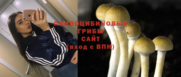 a pvp Кинешма