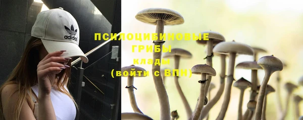 a pvp Кинешма