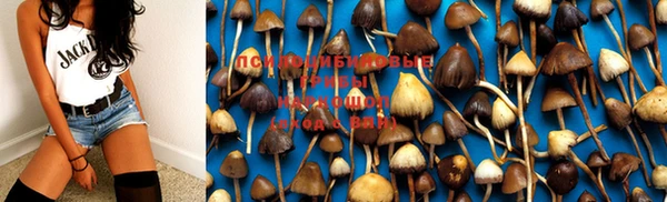 таблы Киреевск