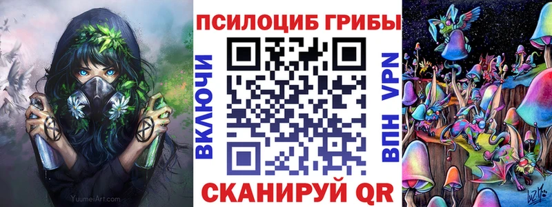 omg tor  Одинцово  Псилоцибиновые грибы MAGIC MUSHROOMS 