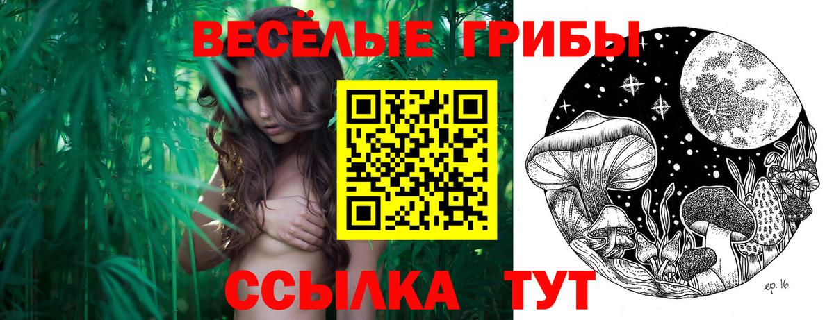 Одинцово  Галлюциногенные грибы мицелий  Вход с VPN  Галлюциногенные грибы ЛСД 